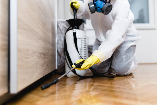 Best Residential Pest Control  in Lakehills, TX