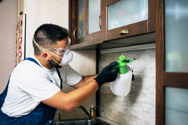 Best Pest Control Near Me in Lakehills, TX