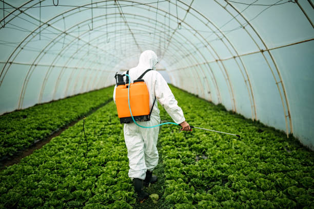 Best Pest Removal Services  in Lakehills, TX