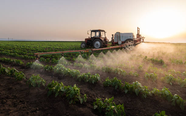 Best Pest Control Treatment  in Lakehills, TX