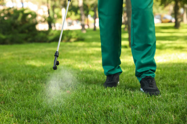 Best Best Pest Control Companies  in Lakehills, TX