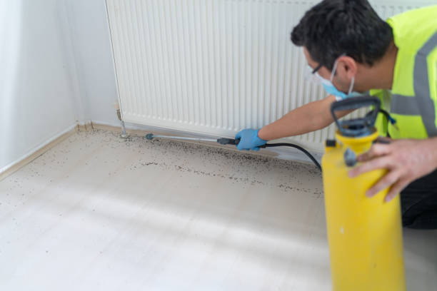 Best Bed Bug Extermination  in Lakehills, TX